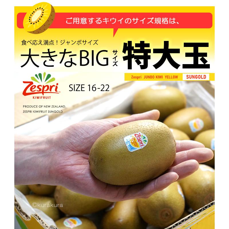 ゼスプリ サンゴールドキウイ (18玉前後/約3kg) ニュージーランド産