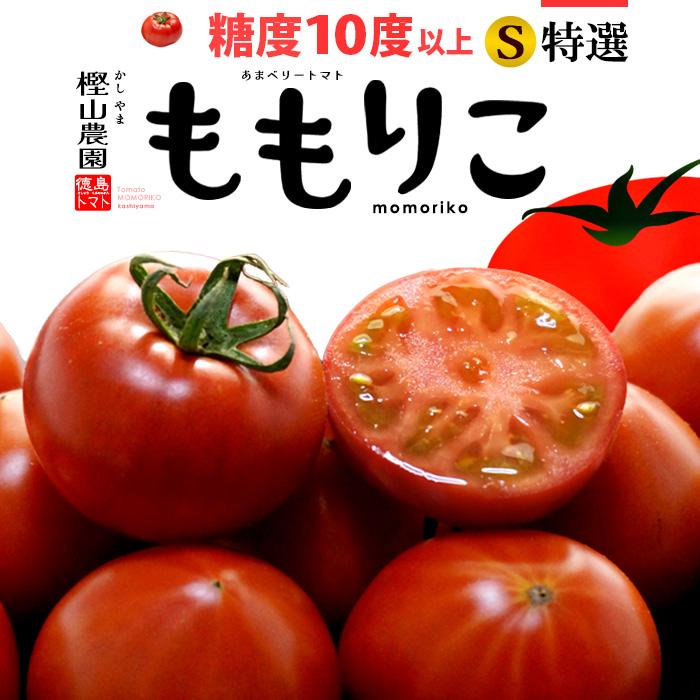 ももりこ トマト (約1kg) 徳島産 糖度10度以上 S特撰 S特選 樫山農園