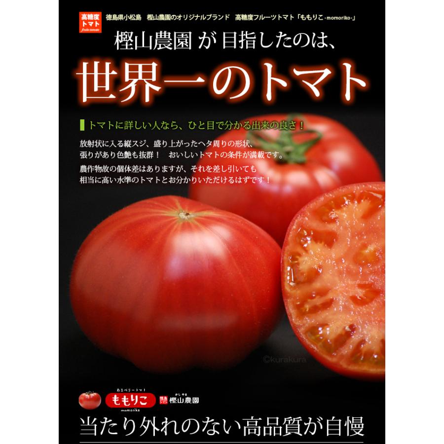 ももりこ トマト (約1kg) 徳島産 糖度10度以上 S特撰 S特選 樫山農園