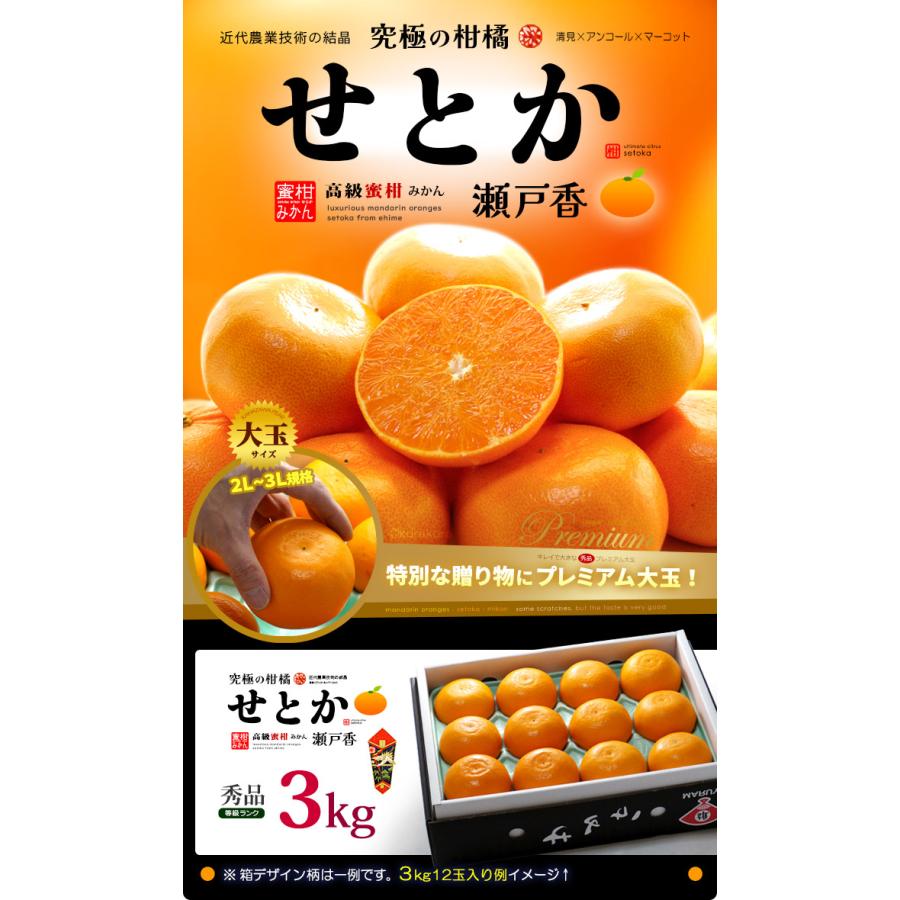 露地栽培 せとか (約3kg) 愛媛・和歌山産 秀品 贈答用 3キロ セトカ