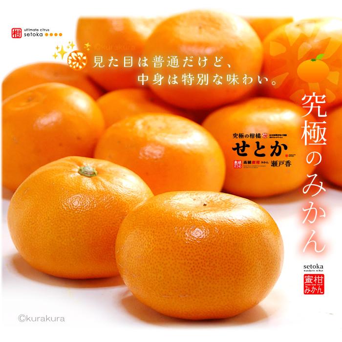 露地栽培 せとか (約3kg) 愛媛・和歌山産 秀品 贈答用 3キロ セトカ