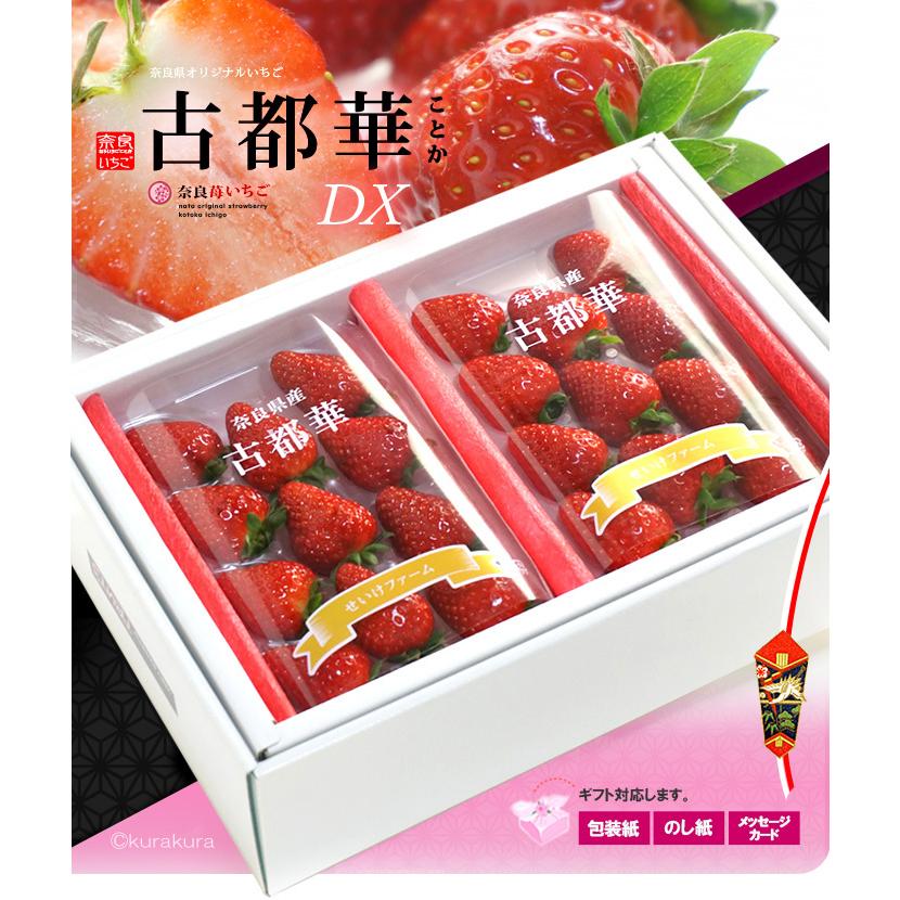 古都華 いちご デラックス (約270g×2P) 奈良産 古都華DX ことか 古都華 いちご デラックス (約270g×2P) 奈良産 古都華DX ことか