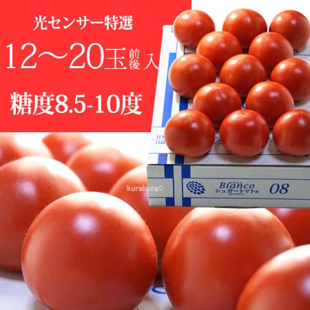 とまと シュガートマト (約700g) 高知県 日高村産 フルーツトマト フルーツ