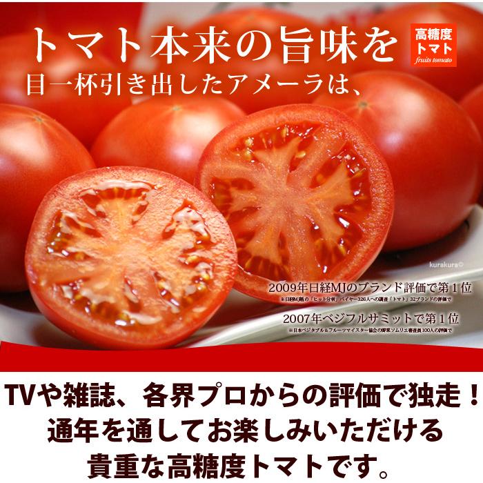アメーラ トマト (約900g) 静岡産 秀品 フルーツトマト とまと 高糖度