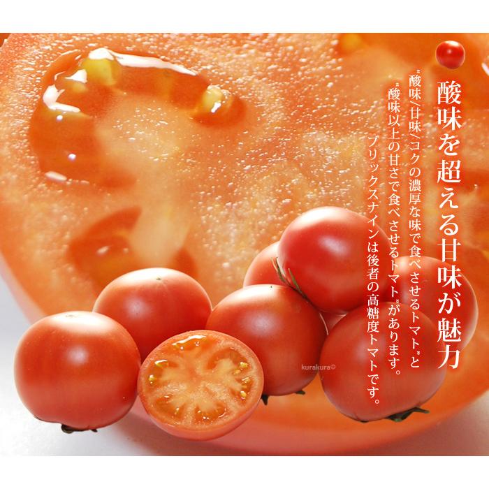 ブリックスナイン (約1kg) 群馬産 フルーツトマト フルーツ ブリックスナイン (約1kg) 群馬産 フルーツトマト フルーツ