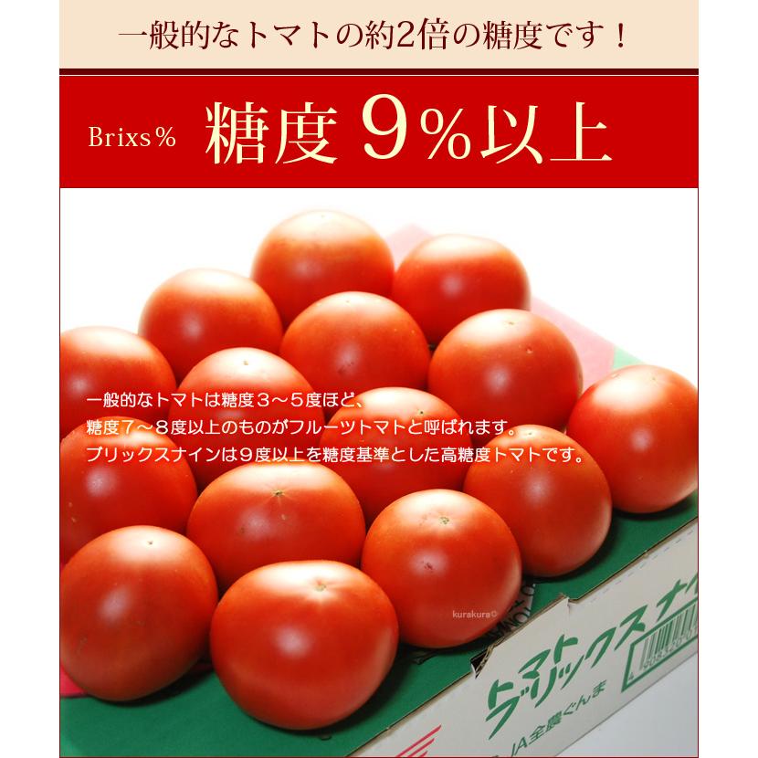 ブリックスナイン (約1kg) 群馬産 フルーツトマト フルーツ ブリックスナイン (約1kg) 群馬産 フルーツトマト フルーツ