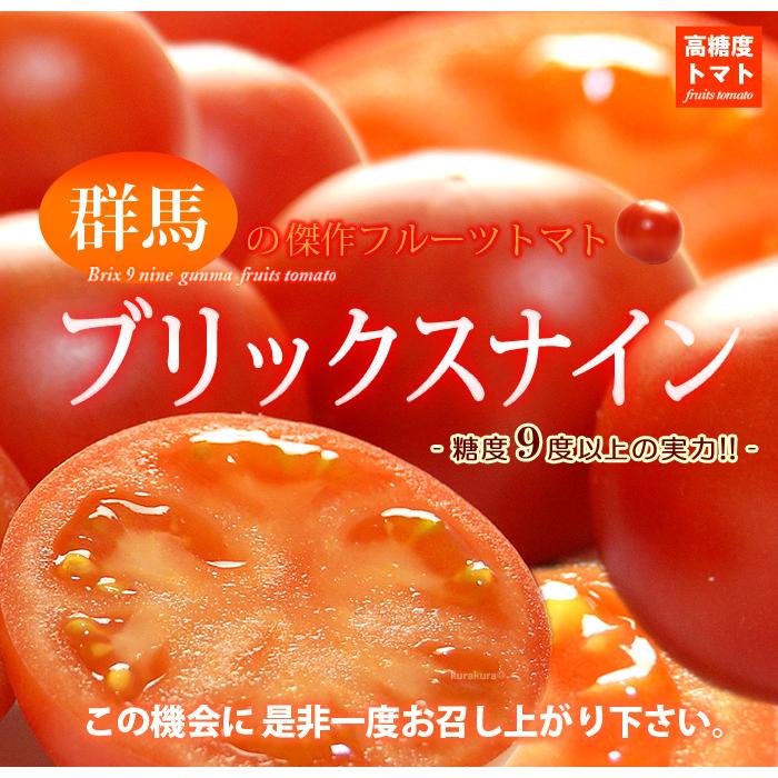 ブリックスナイン (約1kg) 群馬産 フルーツトマト フルーツ トマト