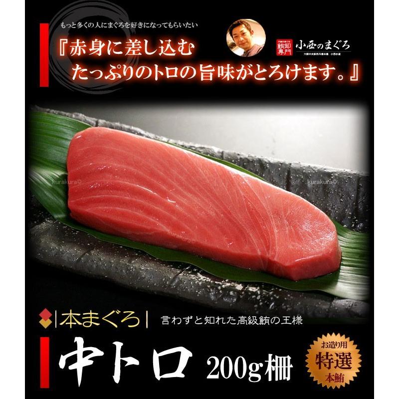 公式サイト本マグロ 中トロ (約200g×2柵) 中とろ クロマグロ まぐろ 鮪 ギフト 贈答用 本鮪 マグロ 本マグロ 中トロ 蓄養鮪 本まぐろ 黒鮪 黒まぐろ 冷凍 地中海産 トロ マグロ 油谷産 養殖 本マグロ 大トロ 200g 山口県 長門市 油谷産 希少 小分け マグロ まぐろ 鮪 脂乗り抜群 とろける 冷凍 柵 トロ とろ 解凍レシピ同封