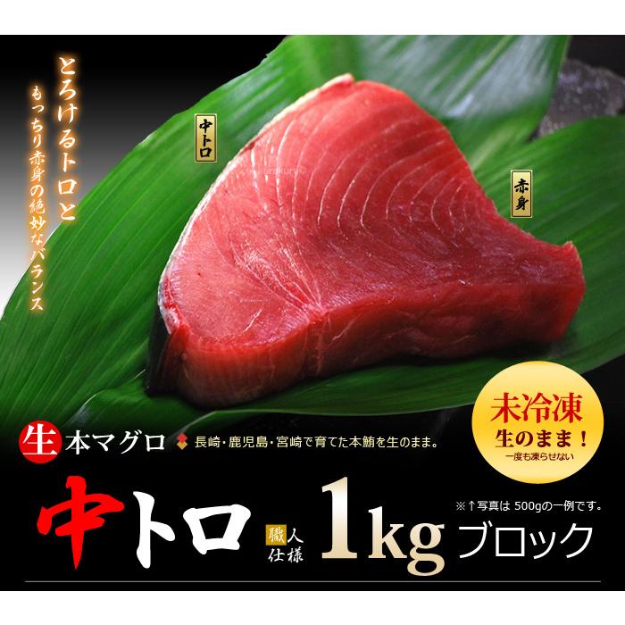 生本マグロ 中トロ ブロック (約1kg) 国産 (主に 鹿児島産 長崎 生本マグロ 中トロ ブロック (約1kg) 国産 (主に 鹿児島産 長崎