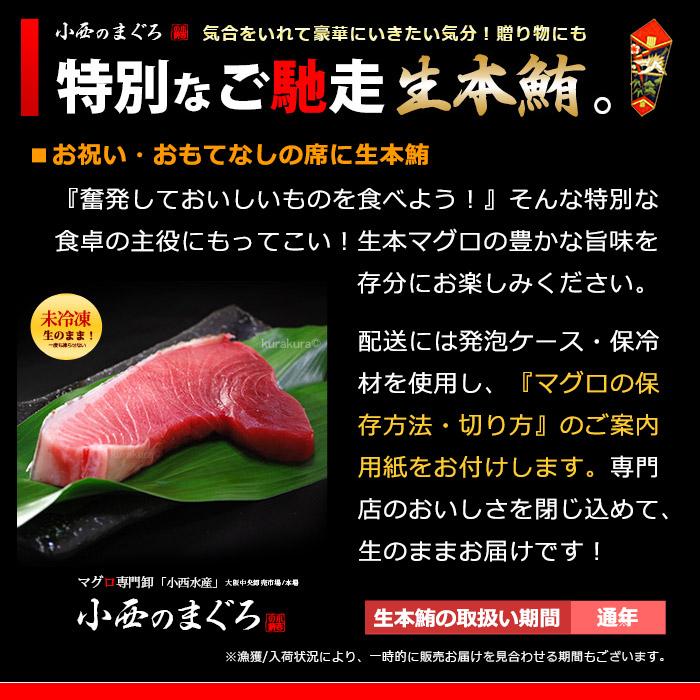 生本マグロ 大トロ ブロック (約1kg) 国産 (主に 鹿児島産 長崎産 高知