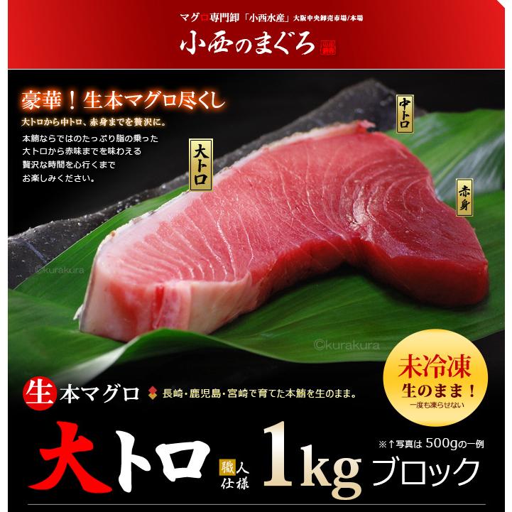 生本マグロ 大トロ ブロック (約1kg) 国産 (主に 鹿児島産 長崎 生本マグロ 大トロ ブロック (約1kg) 国産 (主に 鹿児島産 長崎