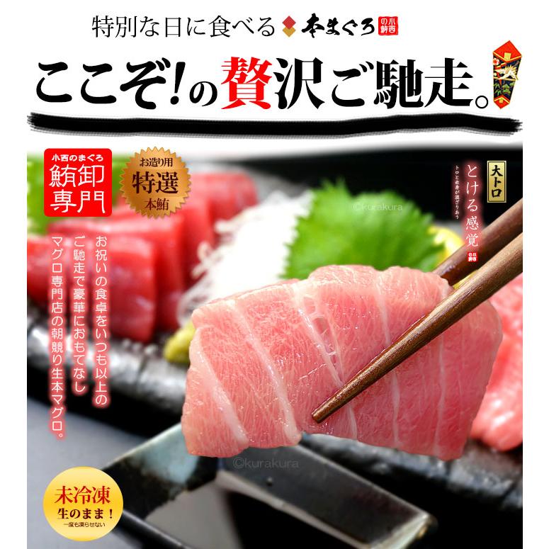 生本マグロ 大トロ ブロック (約1kg) 国産 (主に 鹿児島産 長崎産 高知