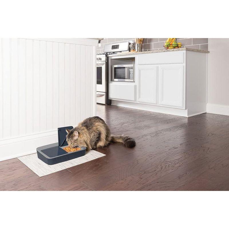 PetSafe おるすばんフィーダー デジタル2食分 バージョン2 自動給餌器 猫 中小型犬用 自動餌やり器 タイマー式 定時定量 1日2食 おるすばんフィーダー デジタル2食分 バージョン2 自動給餌器 猫 中小型犬用 自動餌やり器 タイマー式 定時定量 1日2食