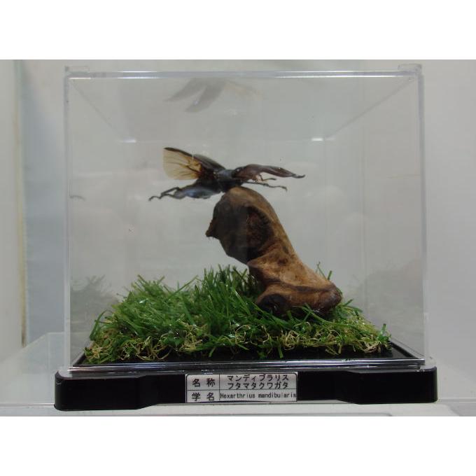 オリスタ 2008年 まとめ売り(バラ売り可能) オリスタ 2008年まとめ売り(バラ売り可能)｜Yahoo!フリマ（旧