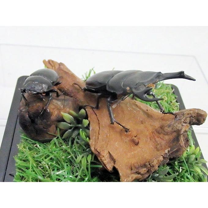 くわがた虫　金属模型　古物 くわがた虫 金属模型 古物 楽天市場】メタル クワガタの通販