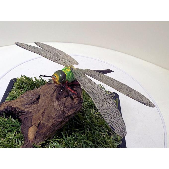 トロイのレリーフ レプリカ 京都科学標本 トロイのレリーフ レプリカ 京都科学標本 トロイのレリーフ