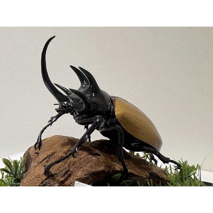 ゴホンヅノカブト♂87mmレプリカジオラマ標本 : オオクワ京都昆虫館