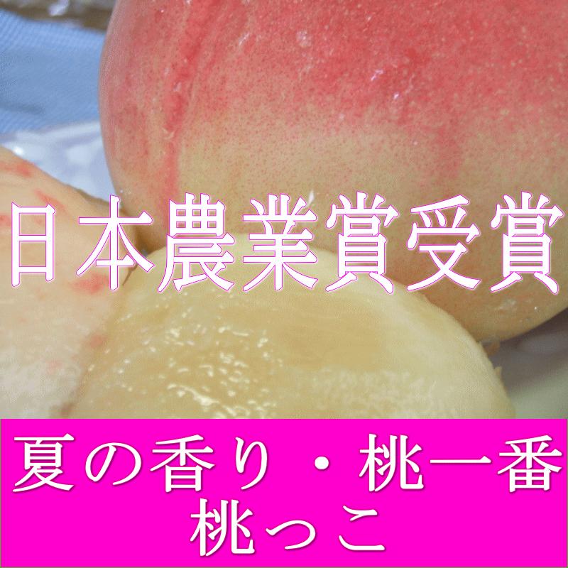 山梨県産 高級桃 日本農業賞受賞 夏の香り 桃一番 3キロ詰 極上大玉8個〜10個｜oomorikan