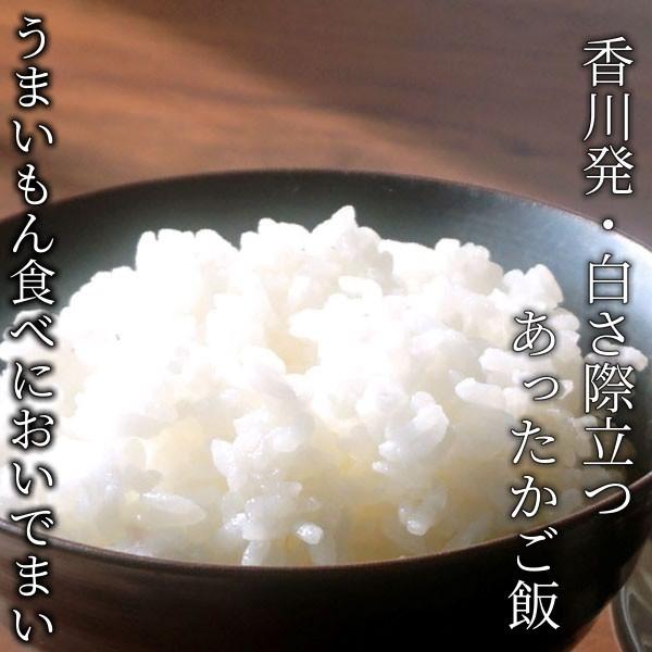 令和６年　新米おいでまい10キロ　玄米、白米 令和6年産 おいでまい 精米 10kg 香川県産 おいで米 香川県 讃岐米