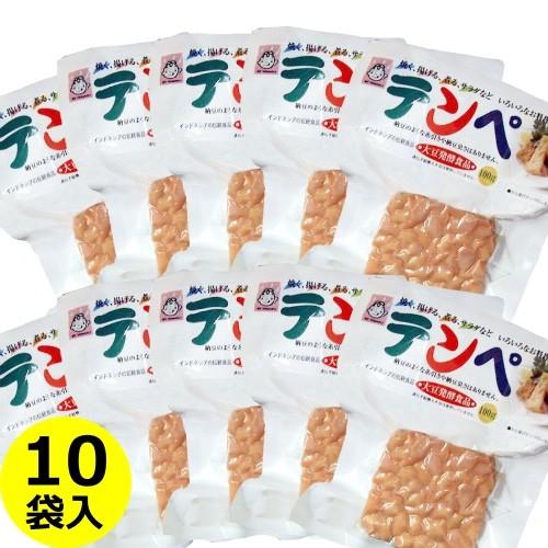 送料無料 ヤマク テンペ 【50%OFF!】 100g×10袋 無塩 健康食品 全日本送料無料 発酵