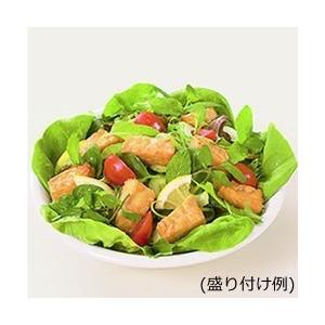 送料無料 ヤマク テンペ 100g×10袋 無塩 発酵 健康食品|oomoriya|02