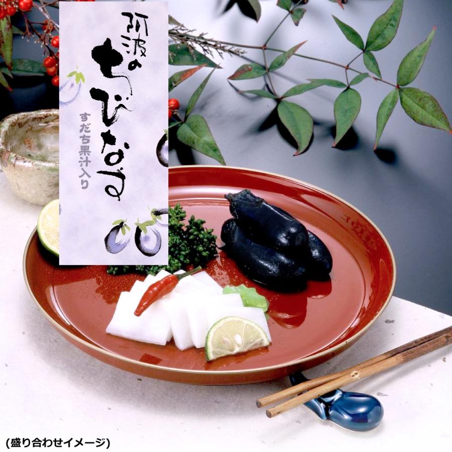 産直】阿波のちびなす ( 小茄子 浅漬け ) 120g×10袋 産地直送 送料無料