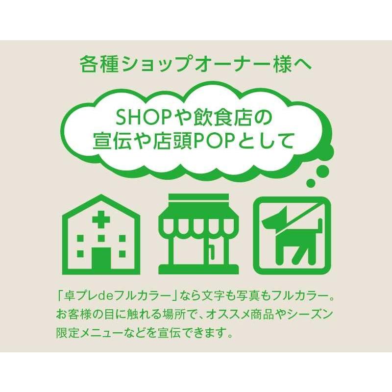 卓プレdeフルカラー 卓上カレンダー 2027年 令和9年 名入れ 30部から カラーインデックス・ビター NK-518 送料無料 オリジナル 印刷 50 100_5