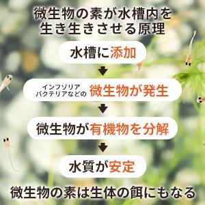 メダカ シュリンプ 餌  微生物の素 10g 水槽 稚エビ 稚魚 針子 水槽 ●メーカー公式ストア● O-O-(オーオー) |  | 09