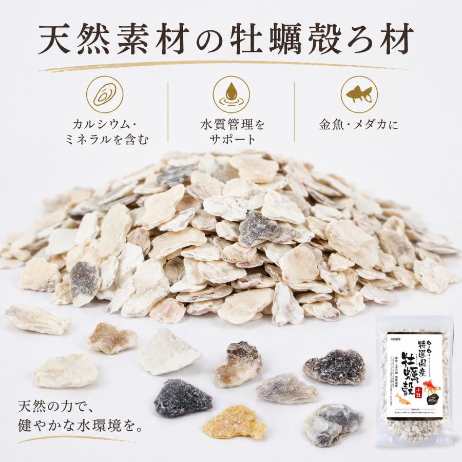 牡蠣殻 小粒 400ml 水槽 ろ過材 pH調整 メダカ 金魚 グッピー