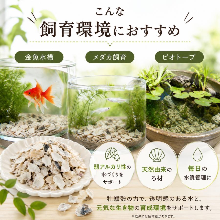 牡蠣殻 小粒 400ml 水槽 ろ過材 pH調整 メダカ 金魚 グッピー