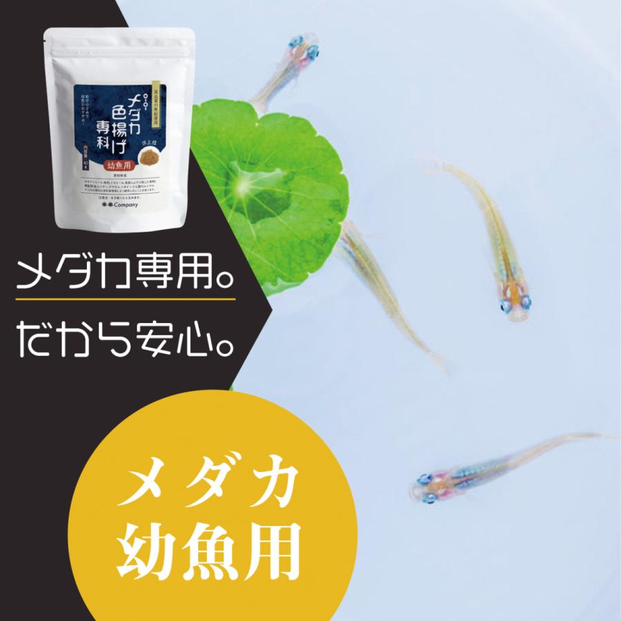 メダカ 色揚げ専科 幼魚用 メダカの餌 40ｇ 針子 おすすめ エサ 0302 O O Company 通販 Yahoo ショッピング