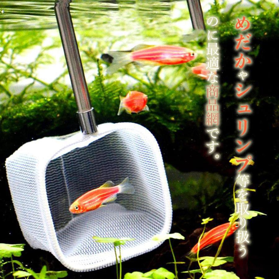 伸縮ステンレスミニ網 メダカ シュリンプ 小型熱帯魚 シルバー O O Company 通販 Yahoo ショッピング