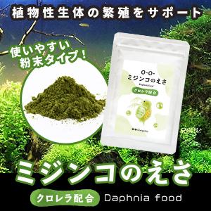 ミジンコのえさ クロレラ配合 メダカ 熱帯魚 ギフ 包装 シュリンプ