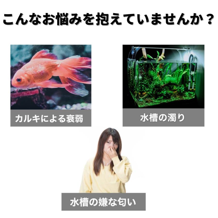 フィルター ろ材 熱帯魚 水槽 水質改善 コケ取 に E B P 高機能ミネラルろ過剤 O O Company 通販 Yahoo ショッピング