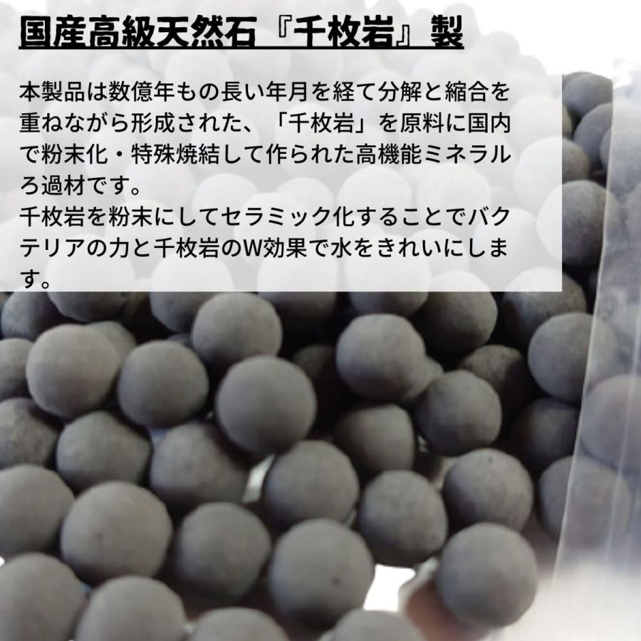 フィルター ろ材 熱帯魚 水槽 水質改善 コケ取 に E B P 高機能ミネラルろ過剤 O O Company 通販 Yahoo ショッピング