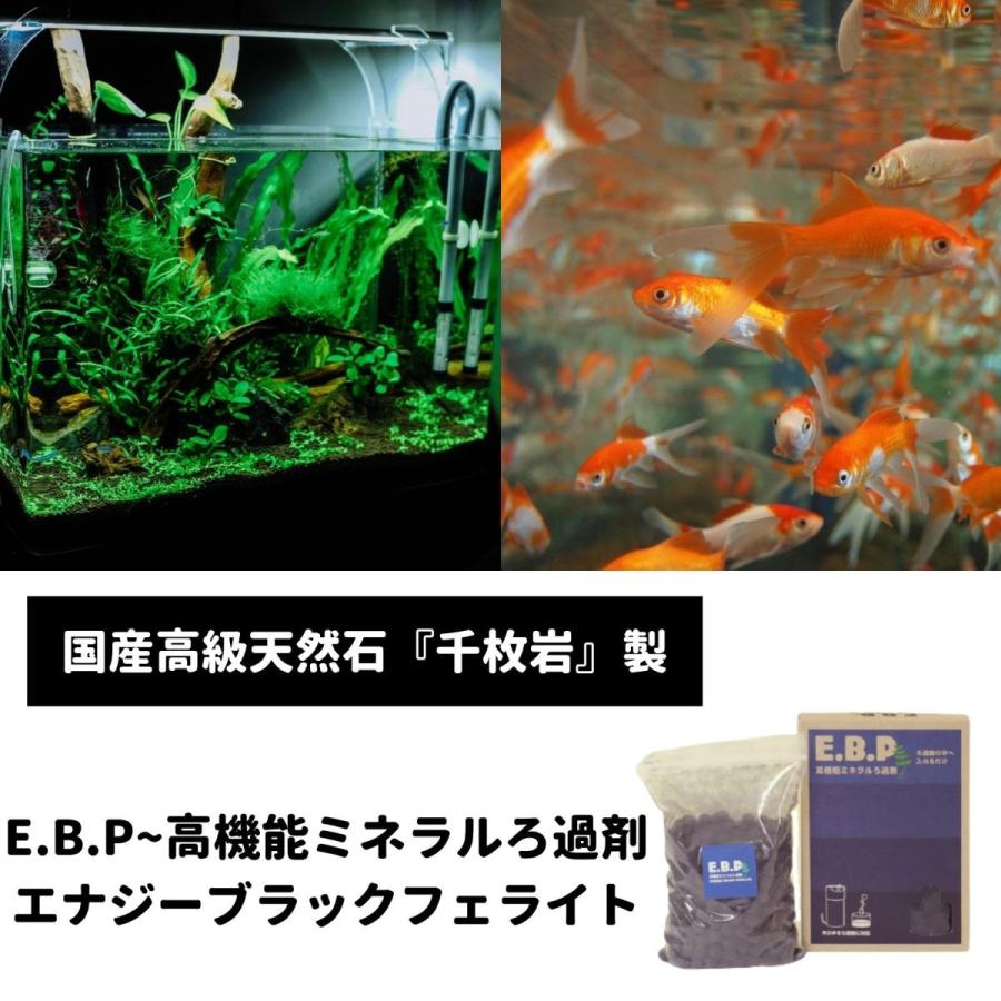 フィルター ろ材 熱帯魚 水槽 水質改善 コケ取 に E B P 高機能ミネラルろ過剤 O O Company 通販 Yahoo ショッピング