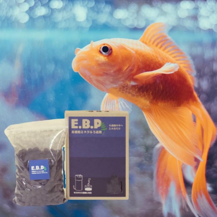 フィルター ろ材 熱帯魚 水槽 水質改善 コケ取 に E B P 高機能ミネラルろ過剤 250ml O O Company 通販 Yahoo ショッピング