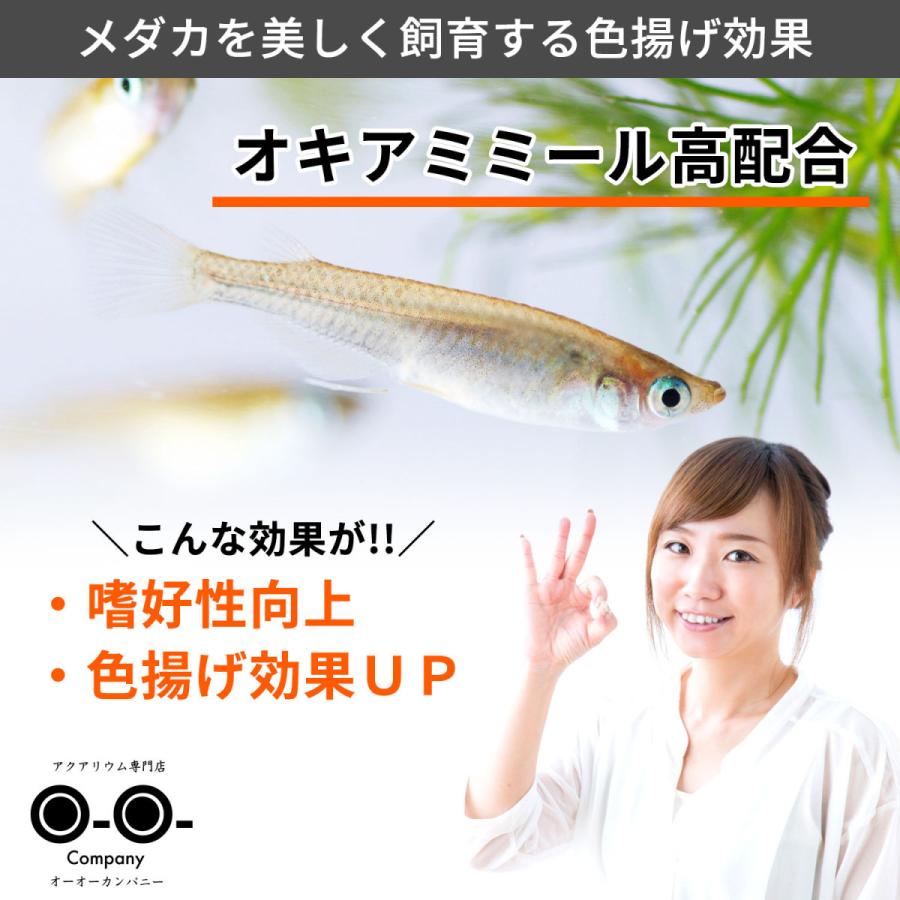 メダカの餌 色揚げ専科 成魚用 120g 色揚げ 専門店 メダカ 色揚げ 専門餌 鮮やかな色を引き出す 栄養バランスに優れる｜ooo｜05