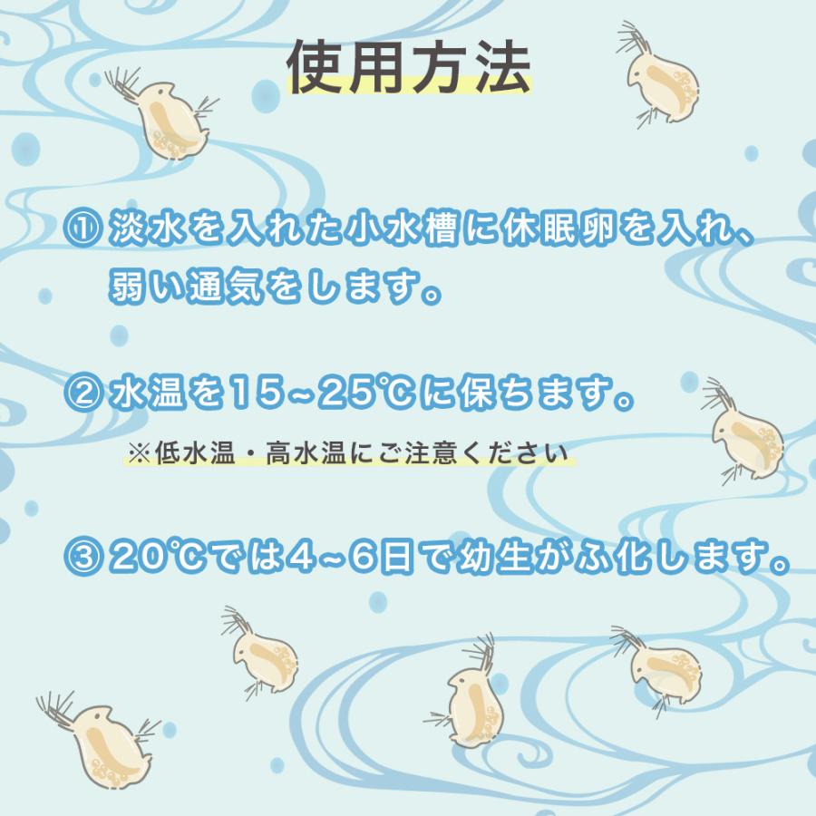 タマミジンコ 休眠卵 5000個 メダカ 稚魚 幼魚 針子 生き餌 ミジンコ