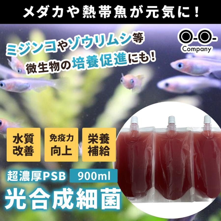 液体フード 光合成細菌 PSB 900ml 光合成細菌 液体飼料 水質浄化栄養 メダカ 針子 稚魚｜ooo｜02