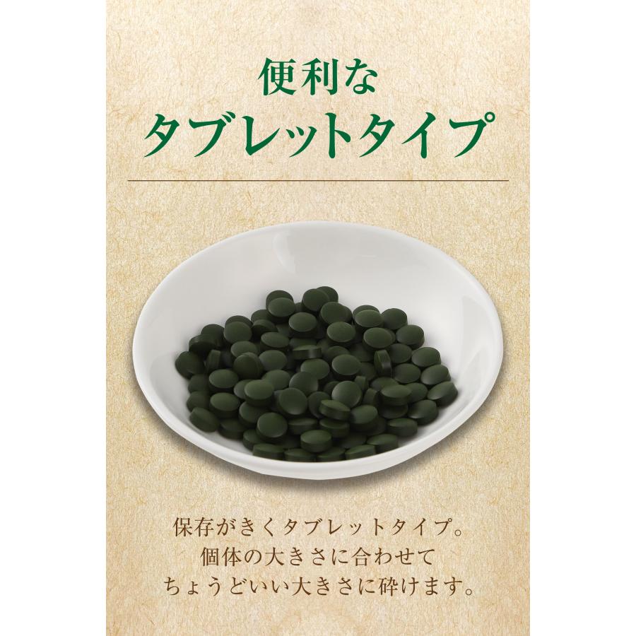 ○メーカー公式ストア○ O-O-(オーオー) 観賞魚用 クロレラ餌 ○メーカー公式ストア○ O-O-(オーオー) 観賞魚用 クロレラ餌