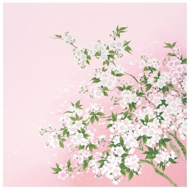 正絹背中合わせちりめん友仙ふろしき（68×68珊）風呂敷/二巾 枝桜