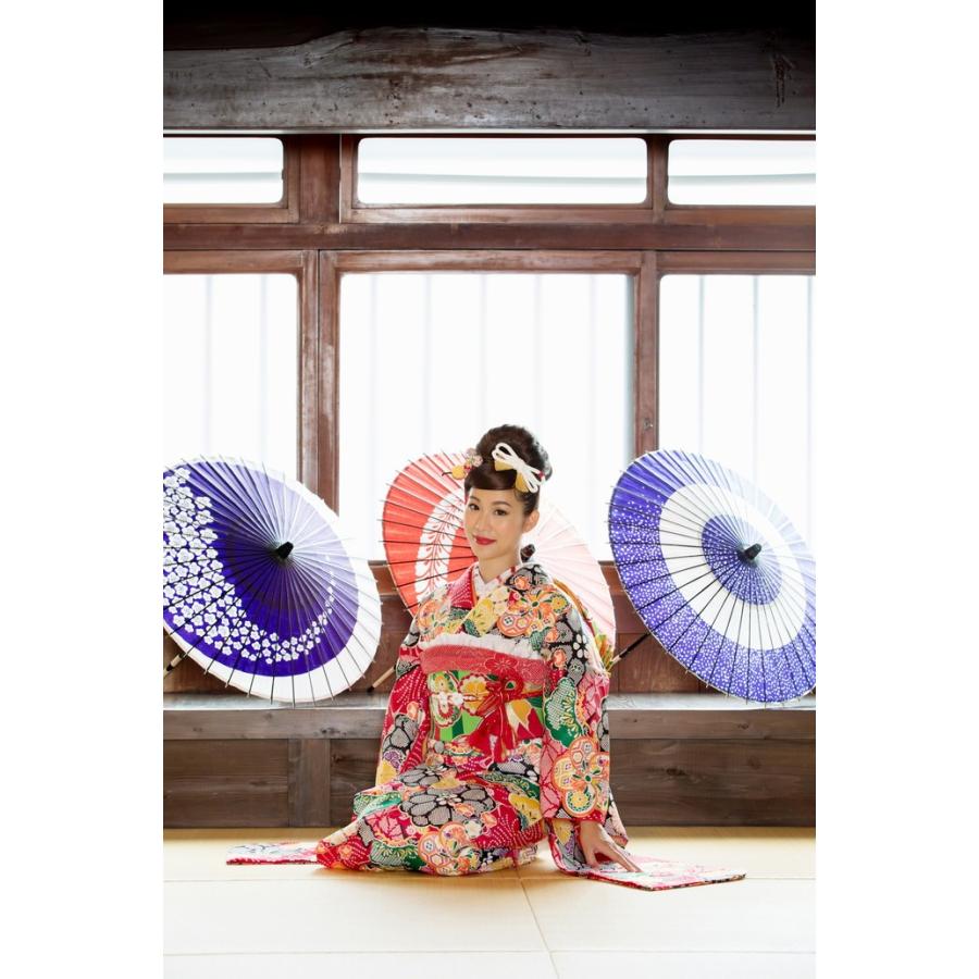 大正浪漫感じる振袖、Wayu-bi、仕立上り振袖単品商品 No, 1901a oooka529_wayubifurisode1901a_2