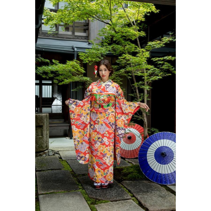 大正浪漫感じる振袖、Wayu-bi、仕立上り振袖単品商品 No, 1905a ・送料 