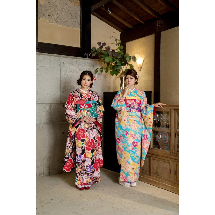 大正浪漫感じる振袖、Wayu-bi、仕立上り振袖単品商品 No, 1905b ・送料 