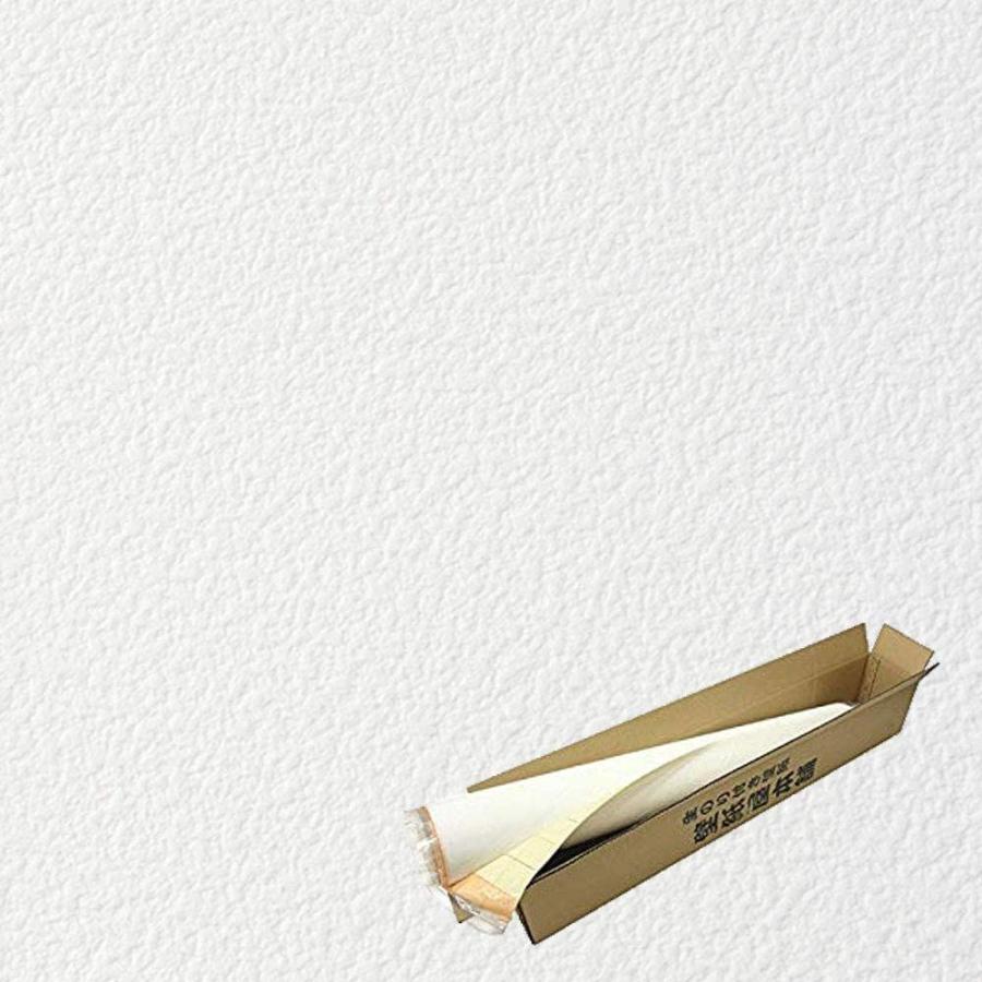 内祝い 30mパック 白 Sslp 873 生のり付き 壁紙 吹き付け調 白 オンライン店の壁紙屋本舗 30mパック 壁紙屋本舗 ホワイト 代引き手数料無料