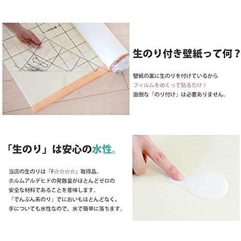 壁紙屋本舗 ホワイト 白 壁紙 生のり付き Seb 09 ホワイト 織物調 織物調 ならショッピング ランキングや口コミも豊富なネット通販 更にお得なpaypay残高も スマホアプリも充実で毎日どこからでも気になる商品をその場でお求めいただけます Diy