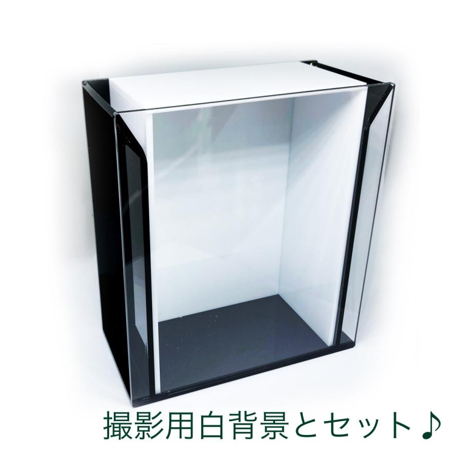 改良版 メダカ選別用ケース 種類や性別分けに最適です！！ : いろいろ