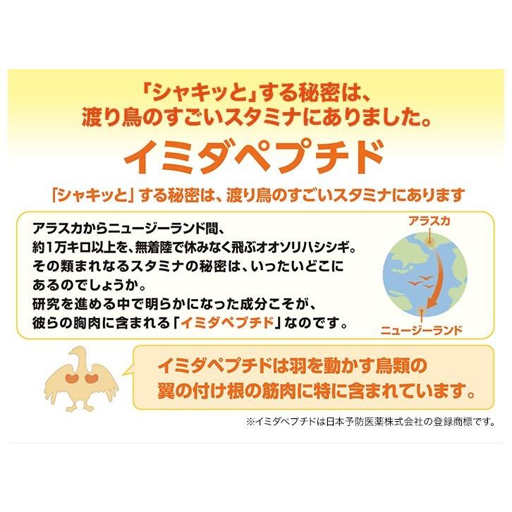 IKOR　la　Ville　自然気化式加湿器　IKA-006　北海道｜oosaki｜03
