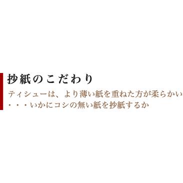 最高級　クリネックスティシュー　「至高」　１６０組４８０枚｜oosaki｜04